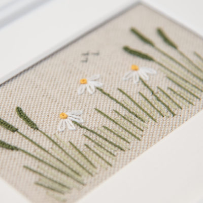 Simple Daisy Border Embroidery Kit - Jo Butcher