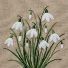 Snowdrop Embroidery Kit. Jo Butcher