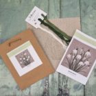 Snowdrops Embroidery Kit contents