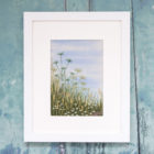 Wild Cow Parsley Meadow Embroidery Kit
