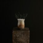 Mini Sapling Tree Vessel By Sonya Wilkins Ceramics