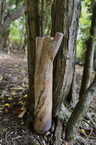 Tree Trunk Vessel (Branched Pine) With Woodland Backdrop By Sonya Wilkins Ceramics