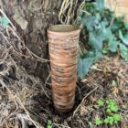 Chinese Red Birch Tree Trunk Vessel 2 (Toasted Clay) By Sonya Wilkins Ceramics.jpg