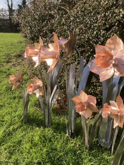 copper and stainless daffodil