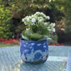 Mystical plant pot featuring colourful homes and winding paths.